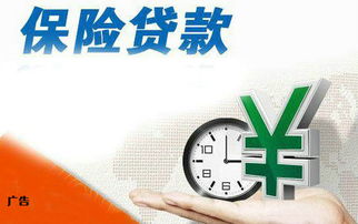 陜西興海普惠信息咨詢服務有限旬陽分公司 專業(yè)信息咨詢服務的可靠選擇