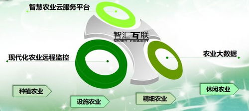 論軟件企業(yè)如何轉(zhuǎn)型智慧農(nóng)業(yè)信息咨詢(xún)服務(wù)